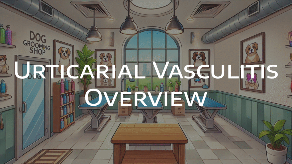 Urticarial Vasculitis Overview DermatoGraphix Dermnemonics